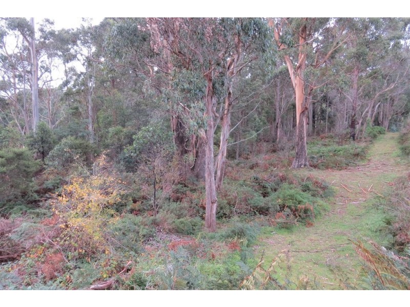 . West Nook Road, Sheffield TAS 7306