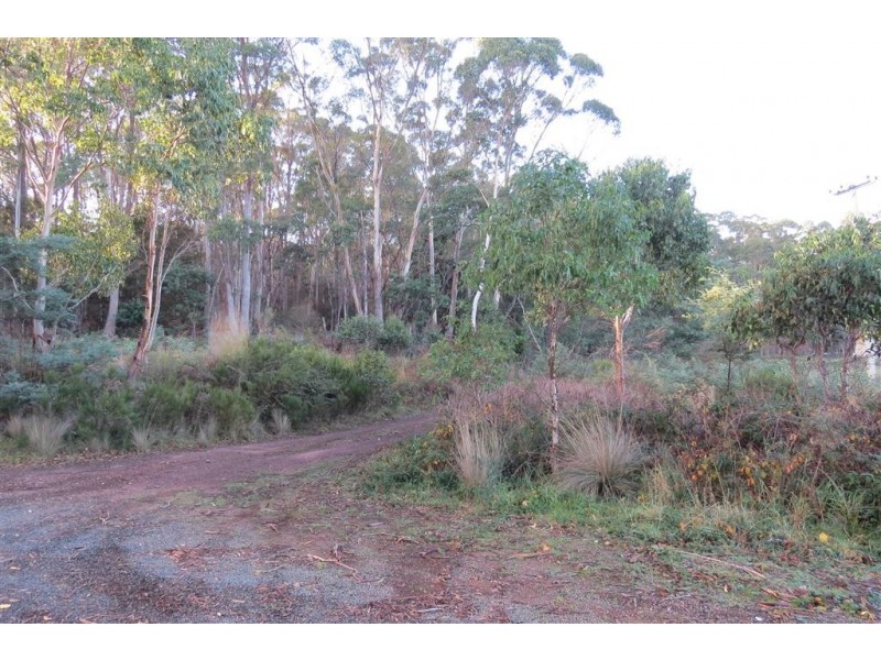 . Youngmans Road, Railton TAS 7305