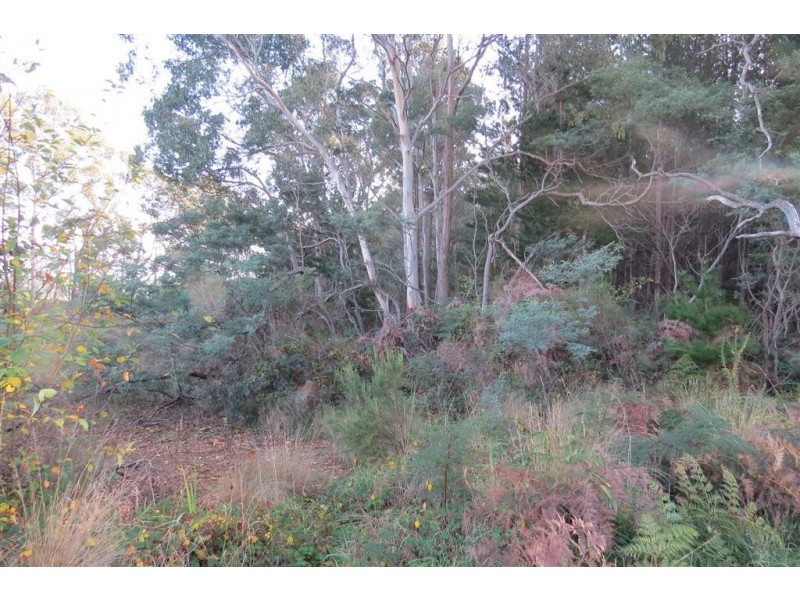 . Youngmans Road, Railton TAS 7305