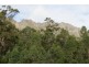 Lot 1 Foleys Road, Claude Road TAS 7306