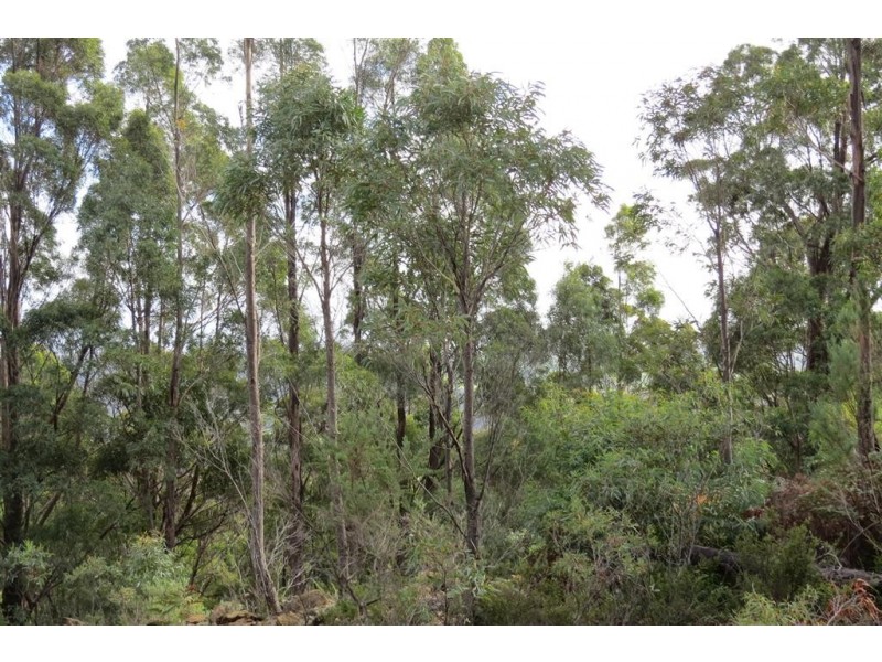 Lot 1 Foleys Road, Claude Road TAS 7306