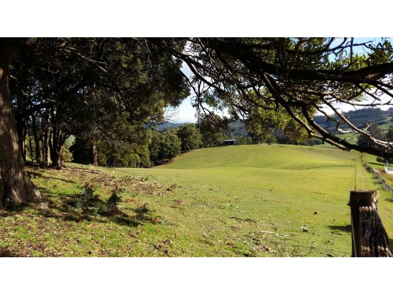 46 Frankcombes Road, Wilmot TAS 7310