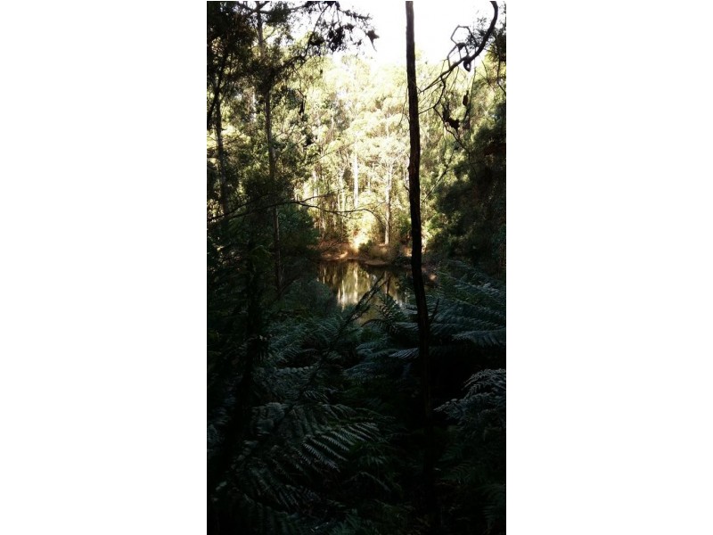 46 Frankcombes Road, Wilmot TAS 7310