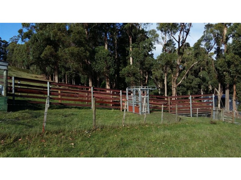 46 Frankcombes Road, Wilmot TAS 7310