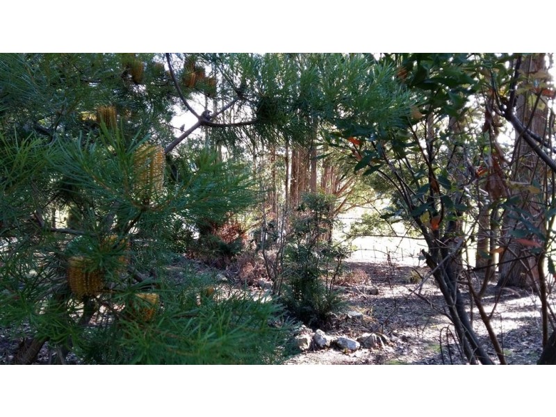 46 Frankcombes Road, Wilmot TAS 7310