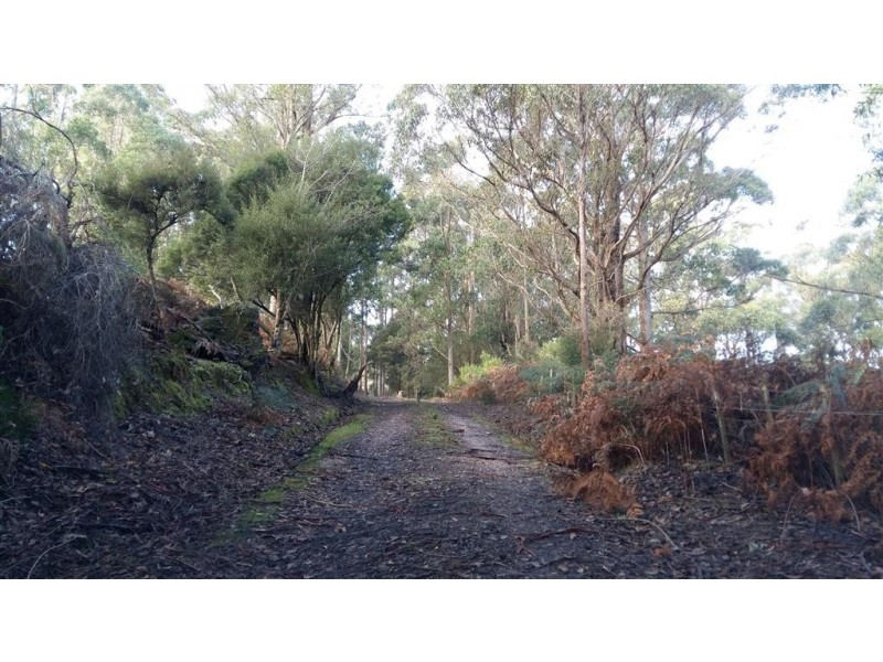 46 Frankcombes Road, Wilmot TAS 7310