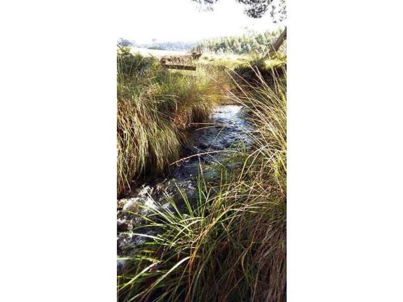 46 Frankcombes Road, Wilmot TAS 7310