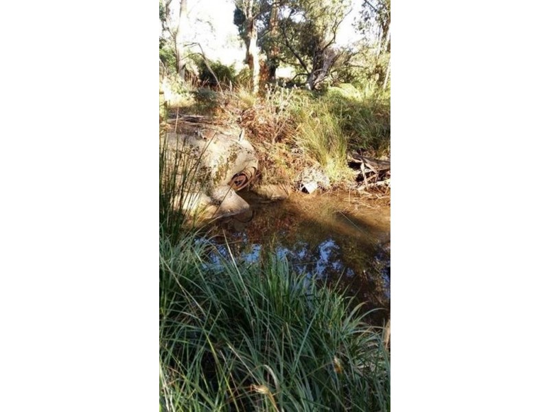 46 Frankcombes Road, Wilmot TAS 7310