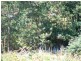 173 Nowhere Else Road, Nowhere Else TAS 7306