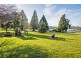 8 Albert Street, Sheffield TAS 7306