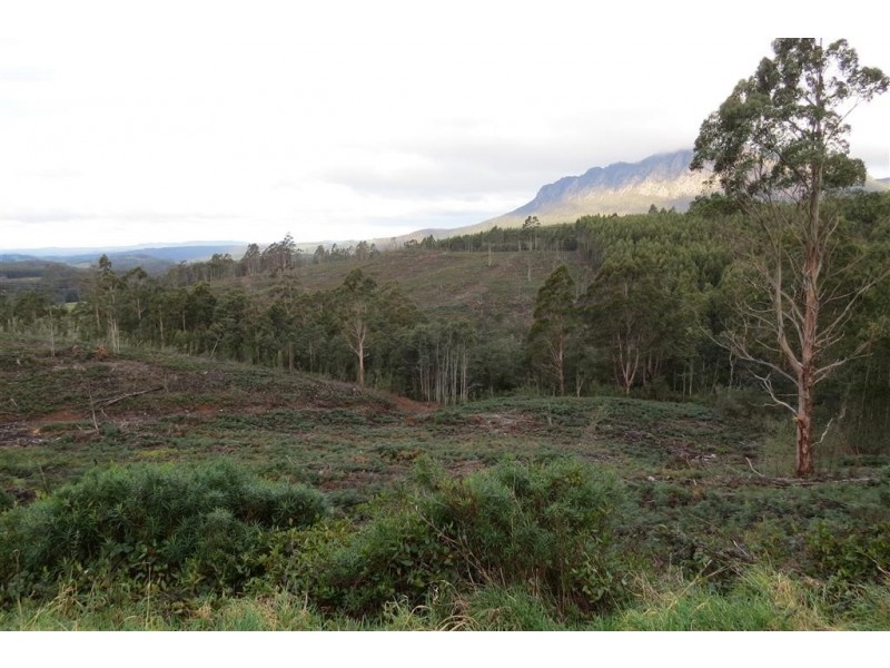 311 Staverton Road, Promised Land TAS 7306