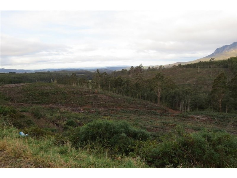 311 Staverton Road, Promised Land TAS 7306