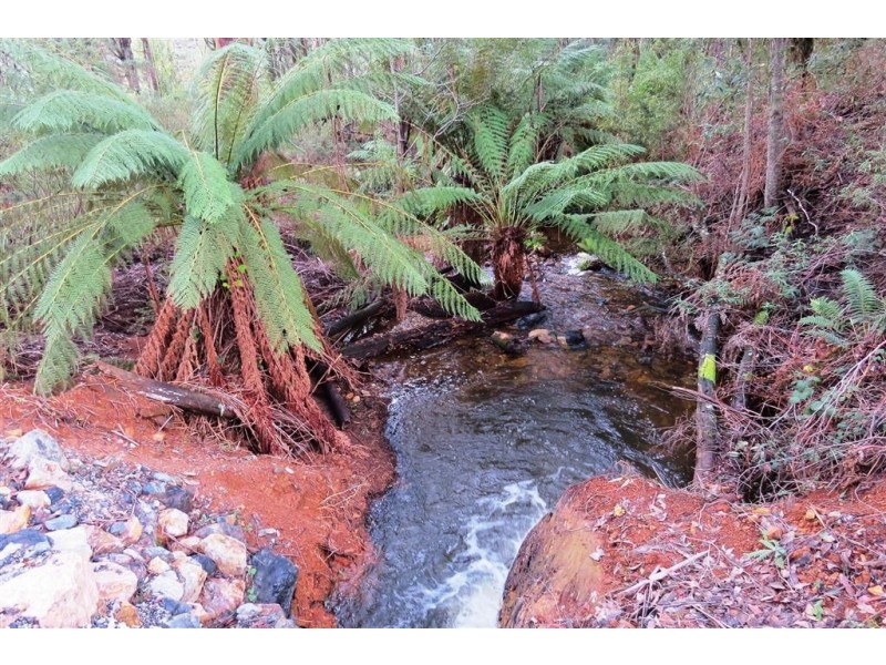 311 Staverton Road, Promised Land TAS 7306