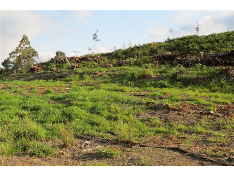 311 Staverton Road, Promised Land TAS 7306