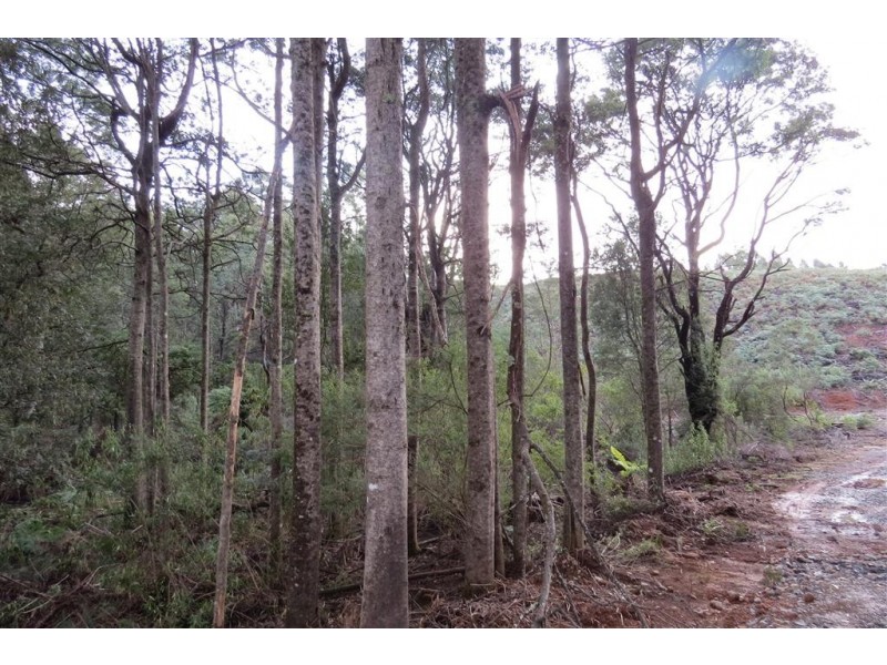 311 Staverton Road, Promised Land TAS 7306