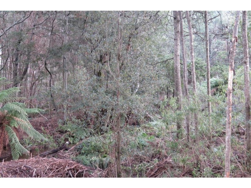 311 Staverton Road, Promised Land TAS 7306