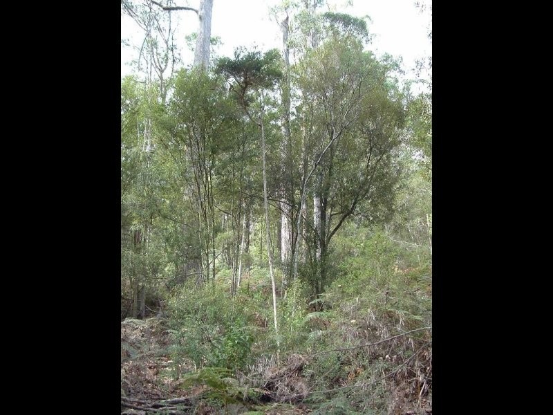 . James Road, Spreyton TAS 7310