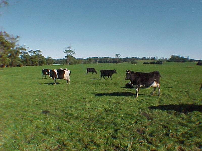 . Cuba Road, Smithton TAS 7330