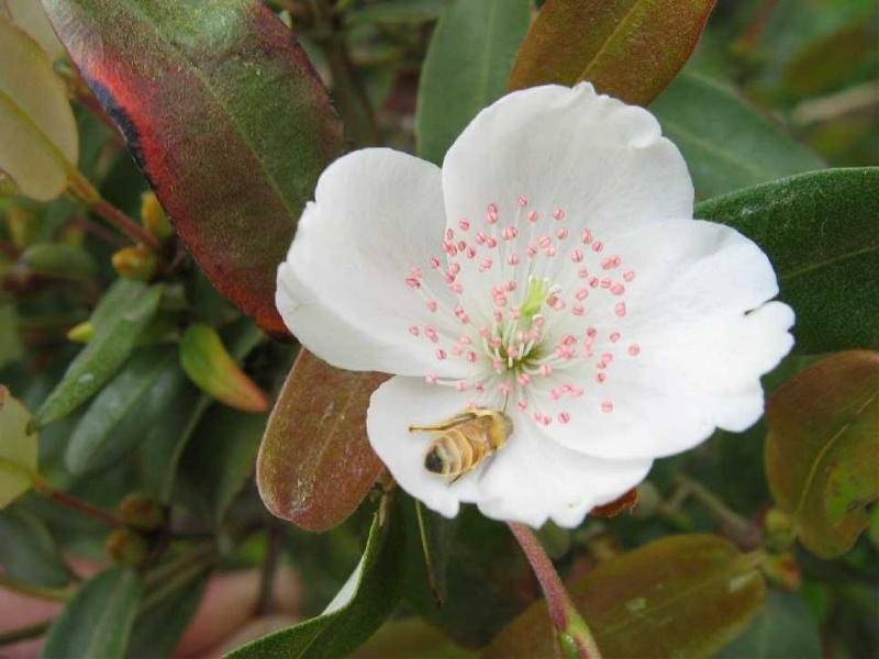 58 Mawbanna Road, Smithton TAS 7330