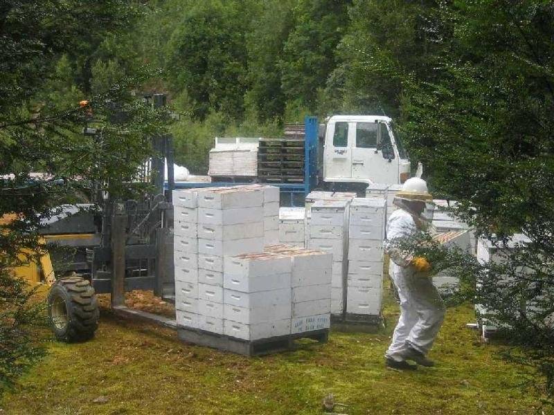 58 Mawbanna Road, Smithton TAS 7330