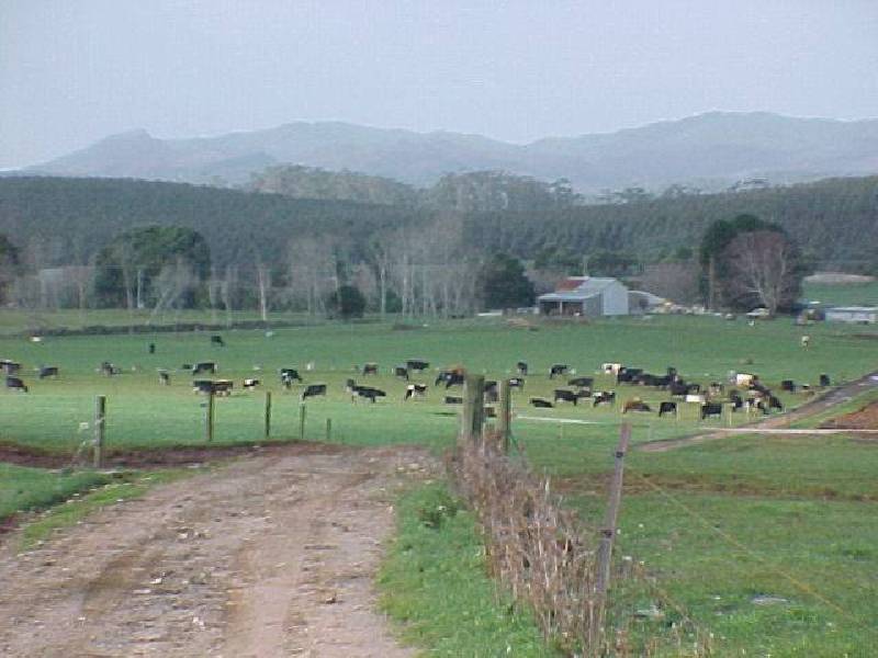 2282 Mawbanna Road, Mawbanna TAS 7321