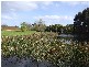 240 Montumana Road, Rocky Cape, Smithton TAS 7330