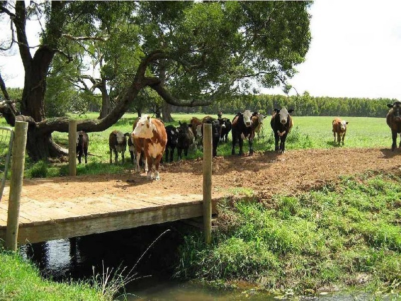 24 Armstrongs Road Roger River, Smithton TAS 7330