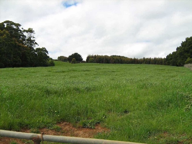42 Bilsons Road, Irishtown TAS 7330