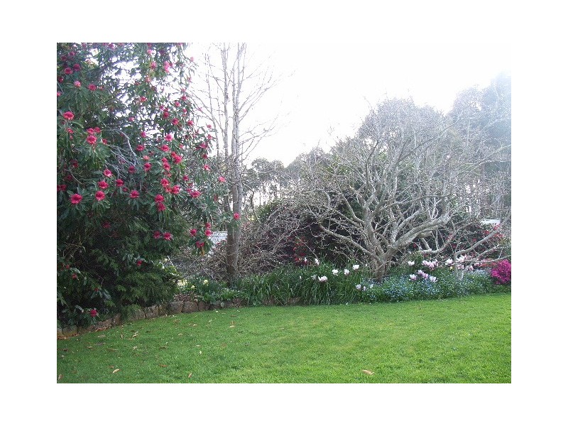 240 Montumana Road, Rocky Cape TAS 7321