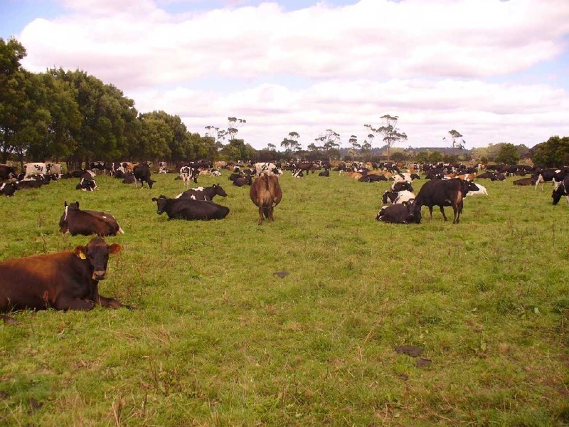 600 Mella Road, Smithton TAS 7330