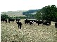 RA 227 Alcomie Road, Alcomie, Smithton TAS 7330