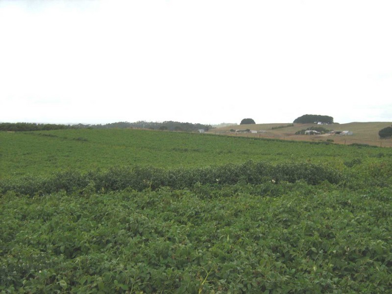 RA 227 Alcomie Road, Alcomie, Smithton TAS 7330