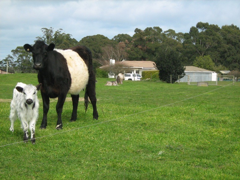 23072 Bass Highway, Smithton TAS 7330