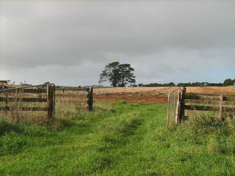 0 Youngs Road, Lileah, Smithton TAS 7330