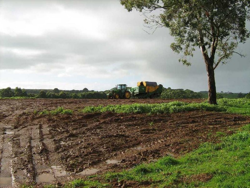 0 Youngs Road, Lileah, Smithton TAS 7330