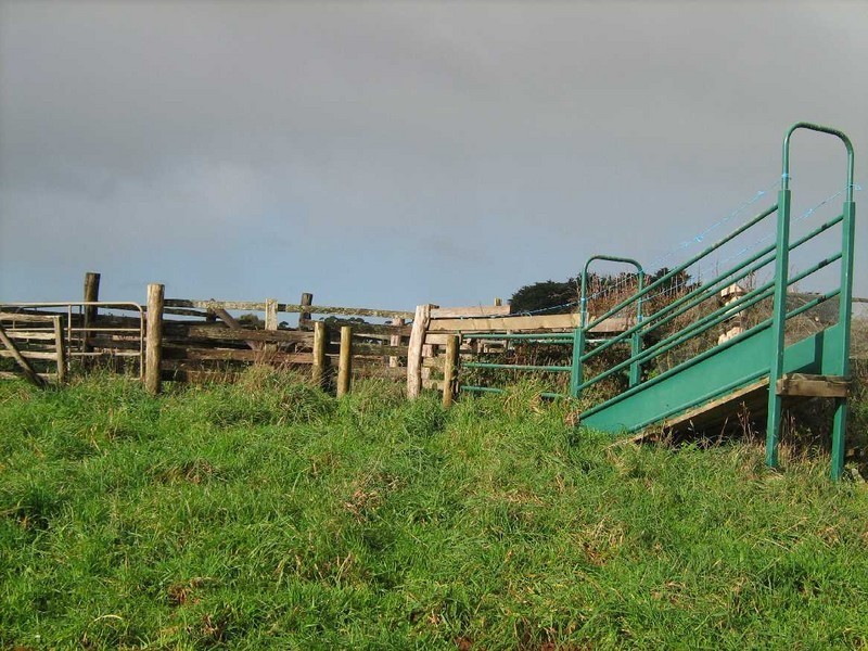 0 Youngs Road, Lileah, Smithton TAS 7330