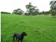 Smithton TAS 7330