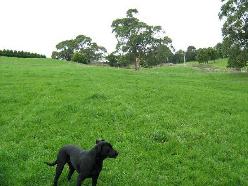 Smithton TAS 7330