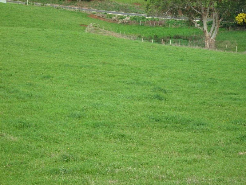Smithton TAS 7330