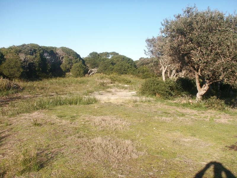 Stanley Highway, Stanley TAS 7331