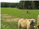 2017 Trowutta Road TROWUTTA, Smithton TAS 7330