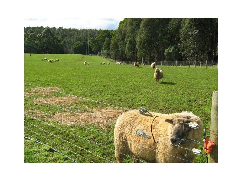2017 Trowutta Road TROWUTTA, Smithton TAS 7330