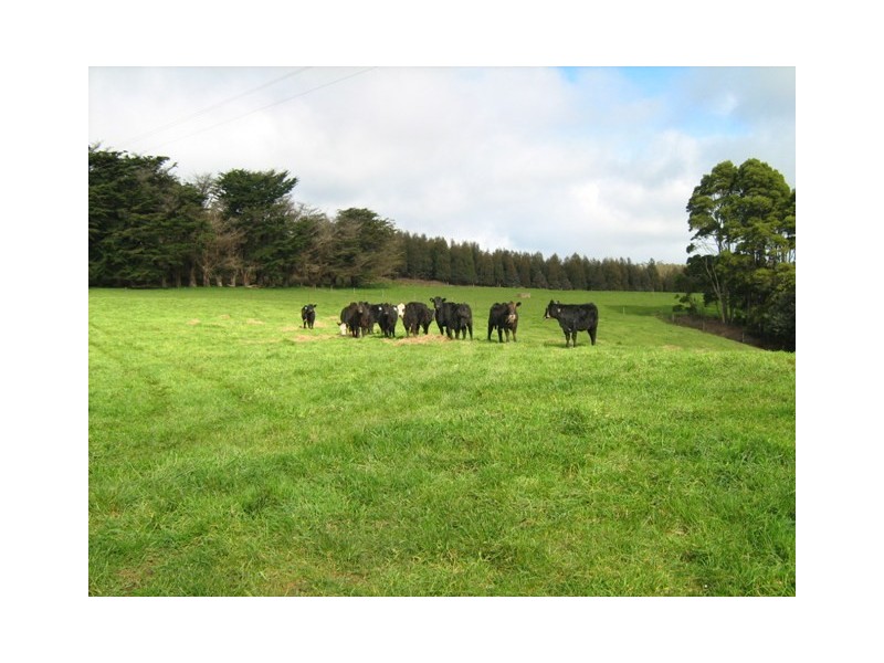 2017 Trowutta Road TROWUTTA, Smithton TAS 7330