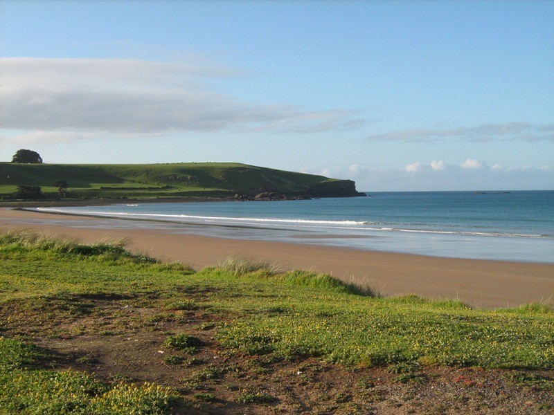 2 Rougemont Street, Stanley TAS 7331