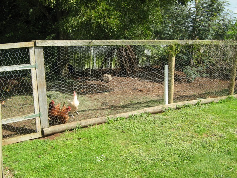 15 Norwood Street, Forest TAS 7330