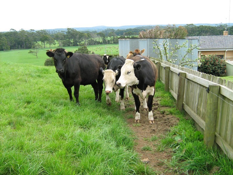 1549 Trowutta Road EDITH CREEK, Smithton TAS 7330