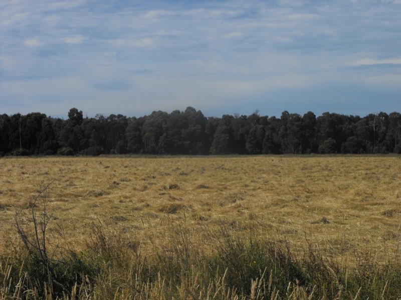 . Donalds Road, Roger River TAS 7330