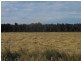 Smithton TAS 7330