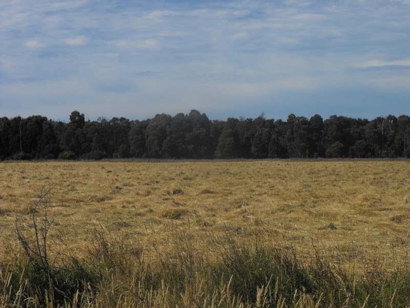 Smithton TAS 7330