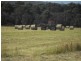 Smithton TAS 7330